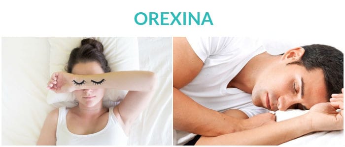 la orexina regula el sueño y la vigilia
