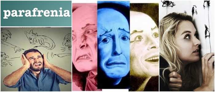 cual es el concepto de parafrenia afectiva