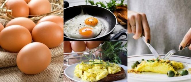 Los huevos aportan proteinas al cuerpo