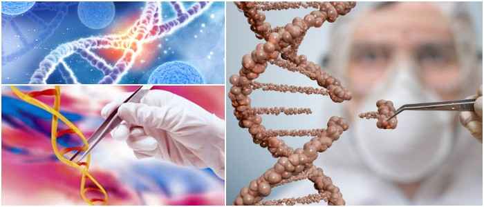que son los transposones y retrotransposones