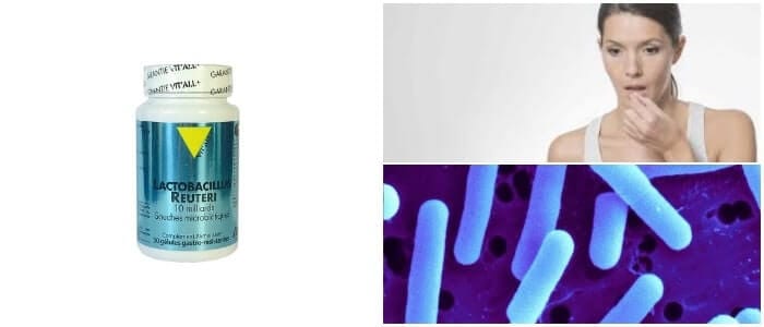 cual es la relación entre el lactobacillus reuteri y el colesterol