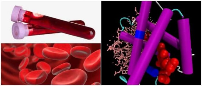 cual es la definición de metahemoglobina