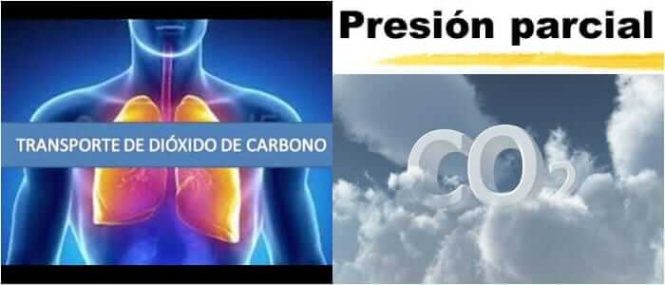 que es el pco2 arterial