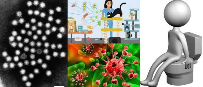 cuales son los síntomas del astrovirus