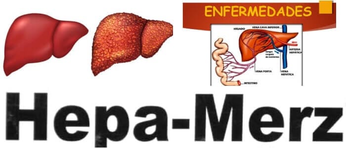 cuales son los efectos secundarios del hepamerz