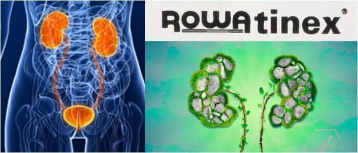 cual es la composicion de rowatinex