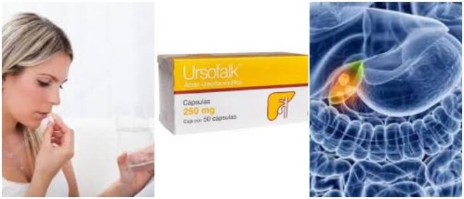 cual es el precio del ursofalk en capsulas