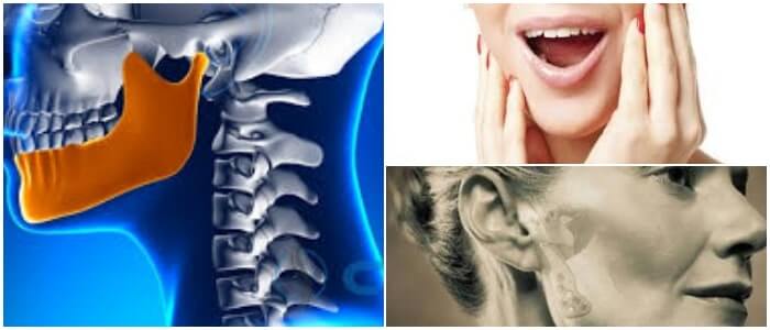 cual es la anatomía de la articulación temporomandibular