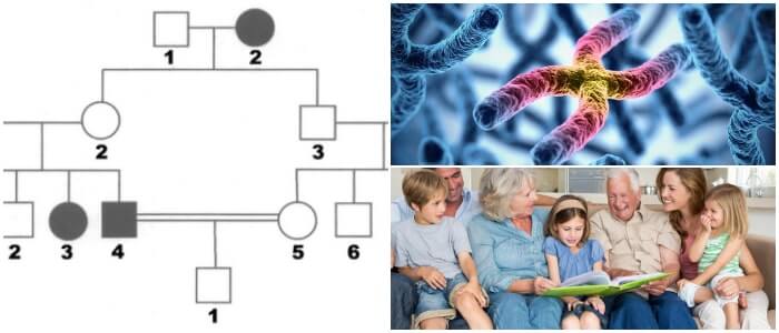 genograma